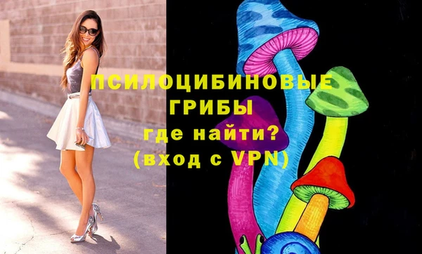 apvp Баксан