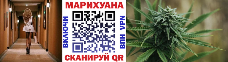 Купить где  Алейск  МАРИХУАНА сатива 